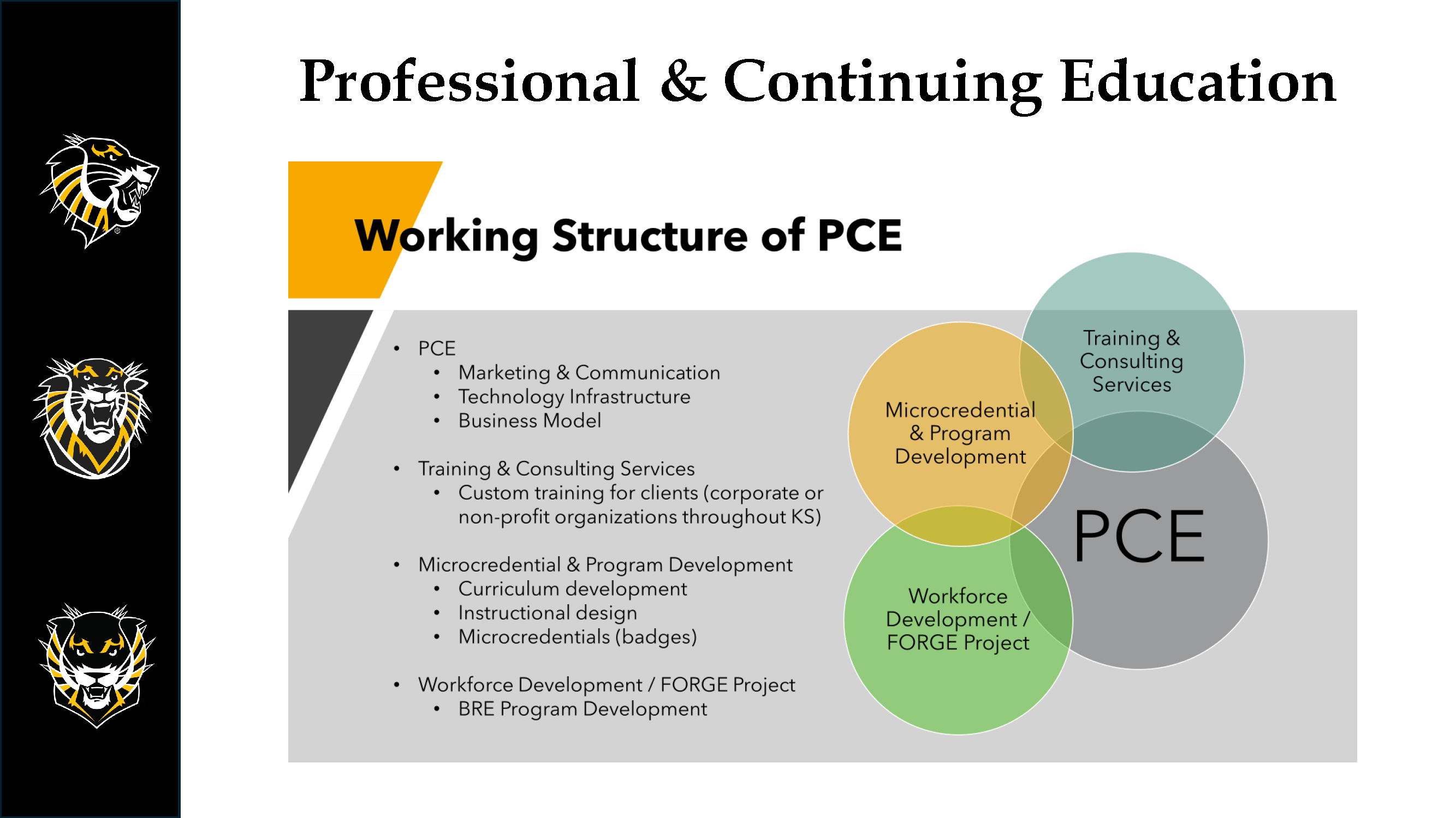 Professional & Continuing Education 1