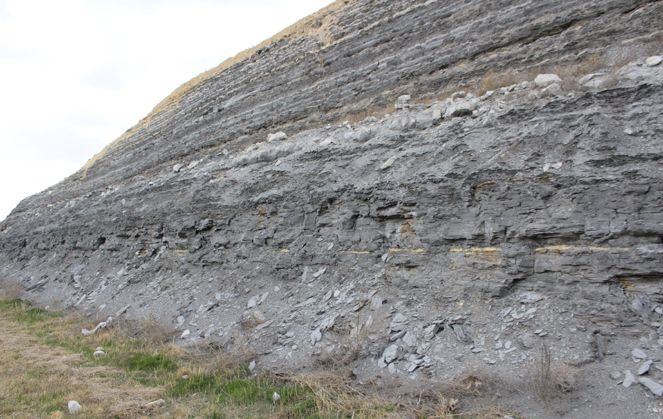 Roadcut revealing the Greenhorn Formation, Russel County, KS