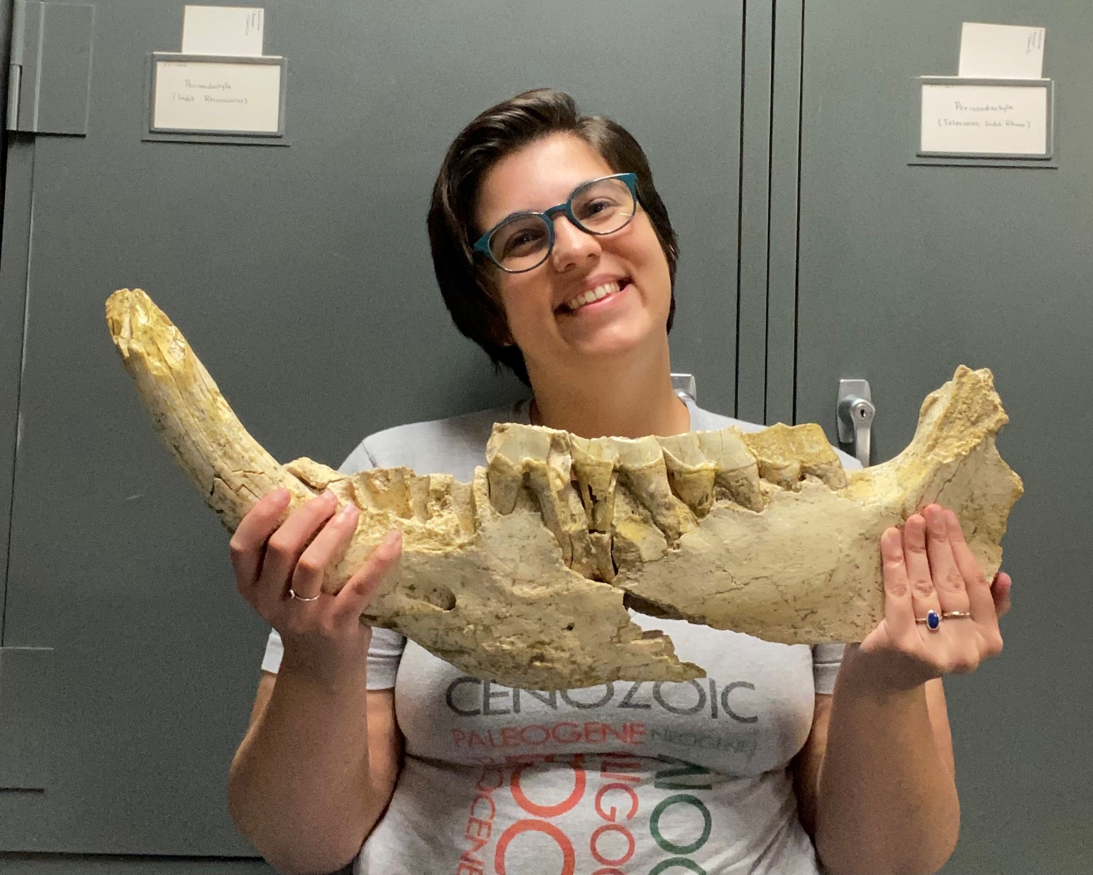 Paleontology Collections Manager and co-PI on the grant Dr. Aly Baumgartner holding a fossil rhinoceras jaw from the Miocene Minium Quarry.