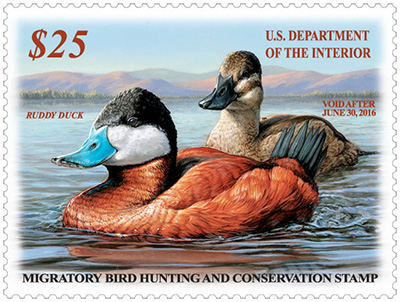 Federal Duck Stamp 
