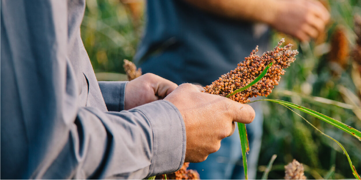 Agriculture